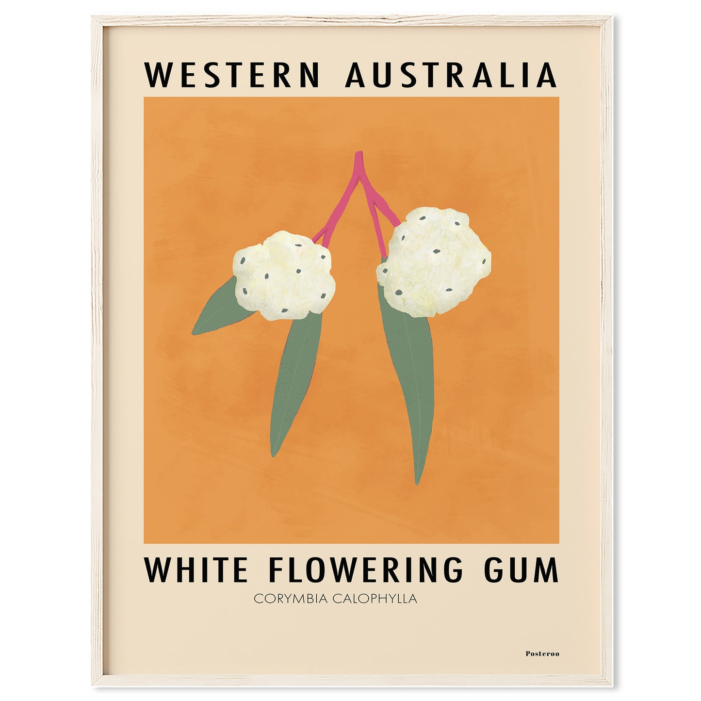WA Florals - Set of 3
