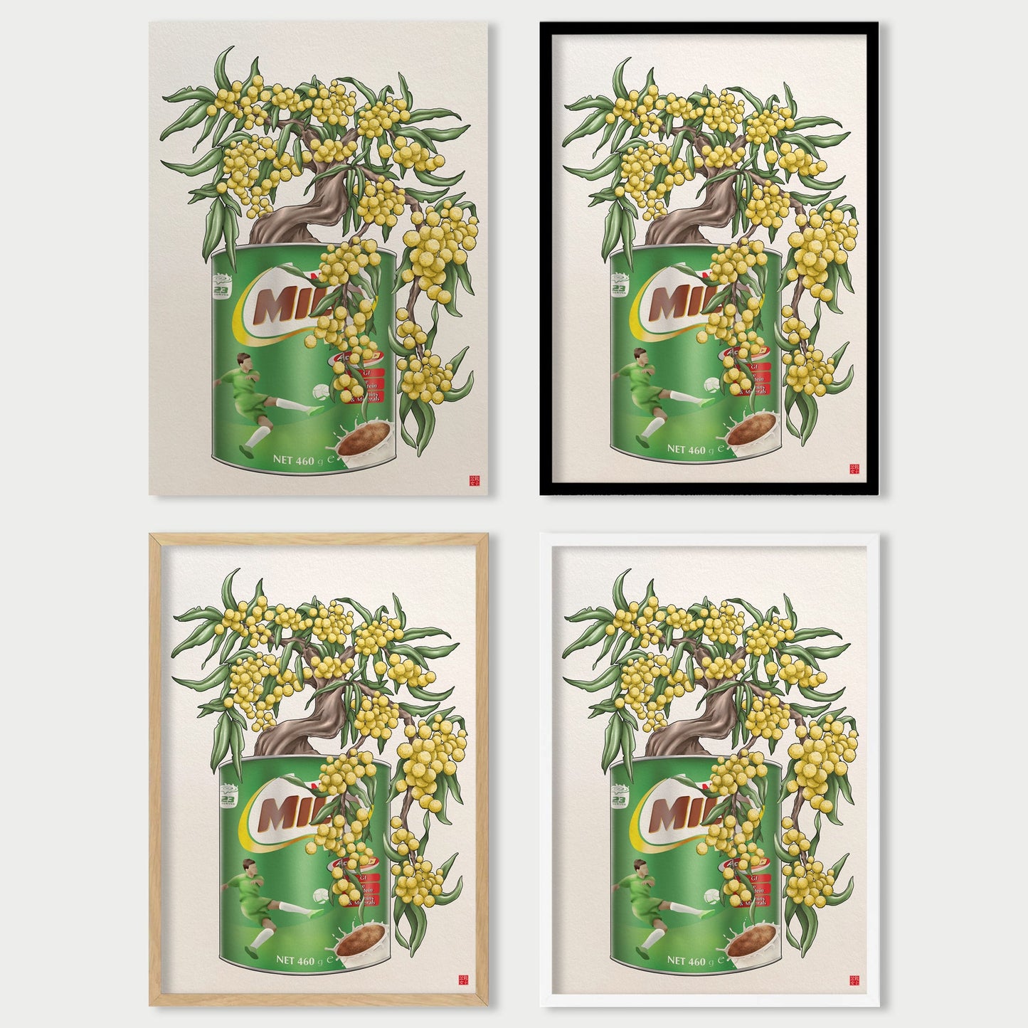 Golden Wattle Milo Tin