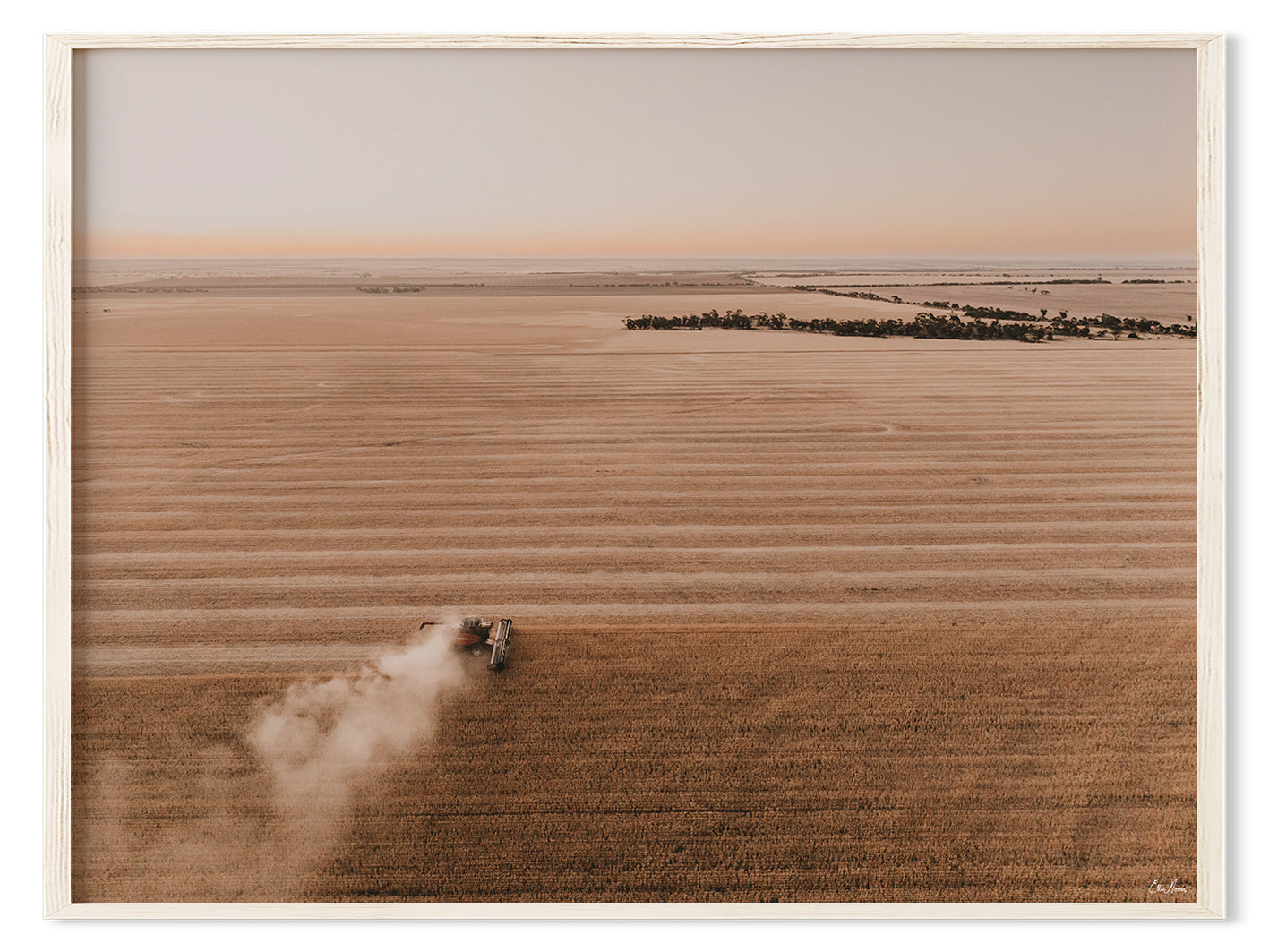 Harvest Evening