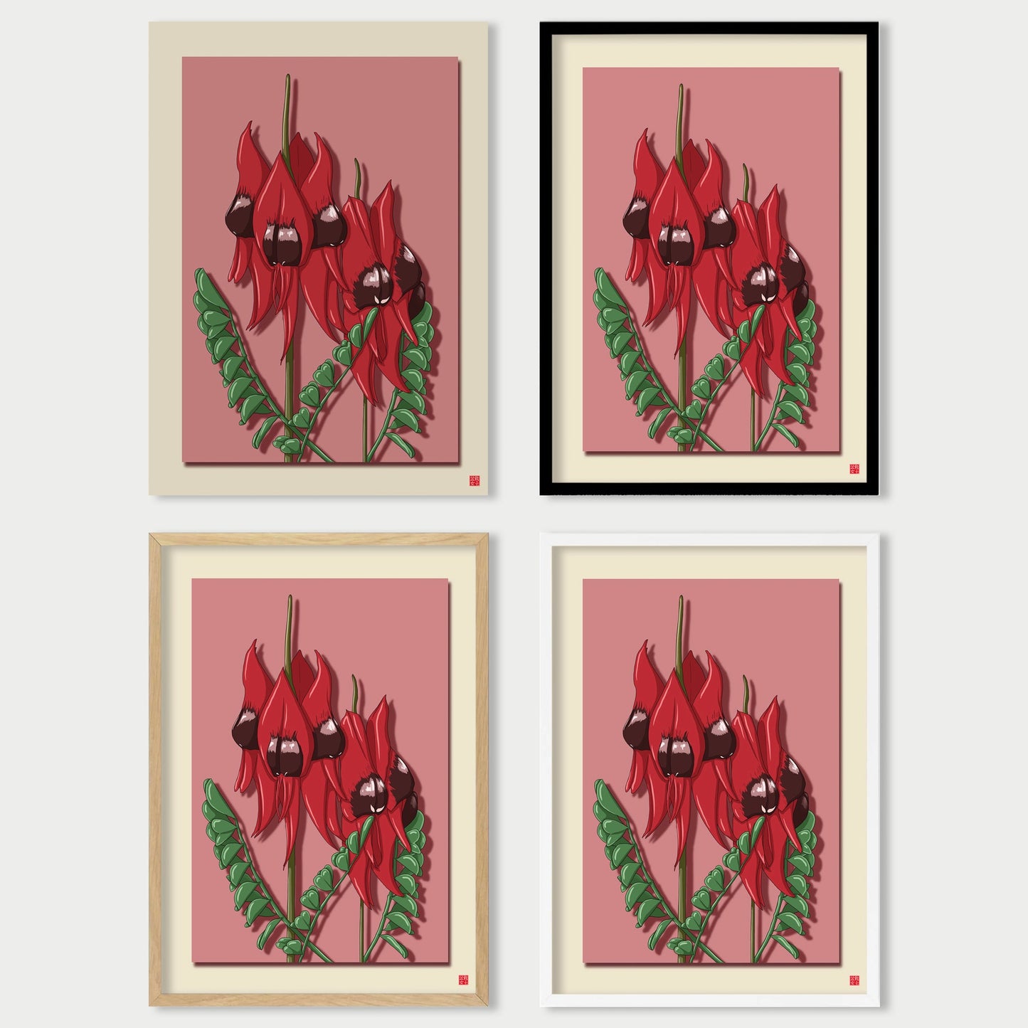 Sturt Desert Pea