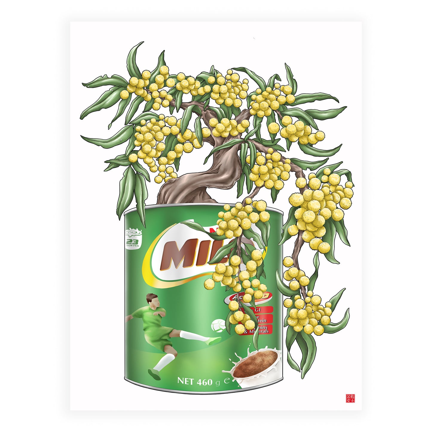 Golden Wattle Milo Tin
