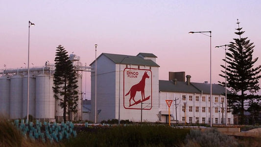 The Story Behind the Dingo Flour Sign
