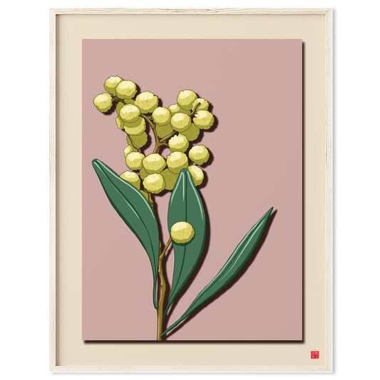 Acacia Flower