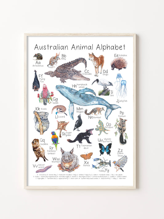 Australian Animal Alphabet