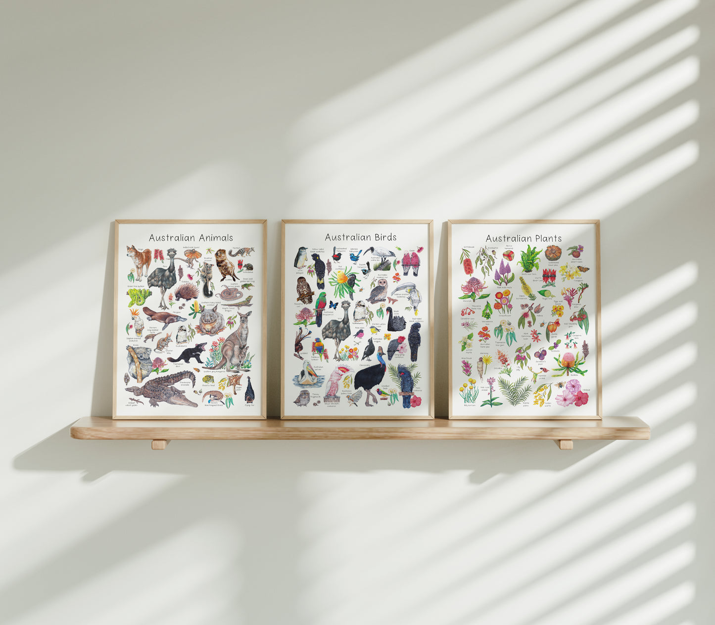 Australian Nature - Set of 3
