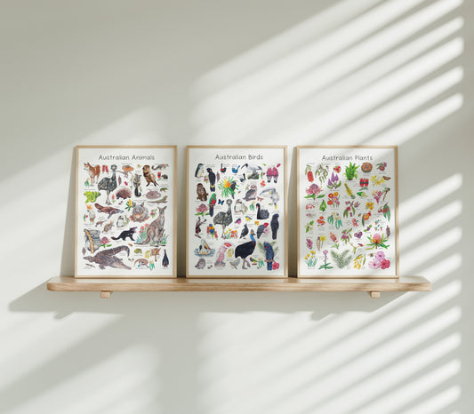 Australian Nature - Set of 3