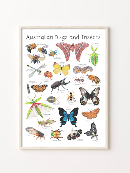 Australian Bugs