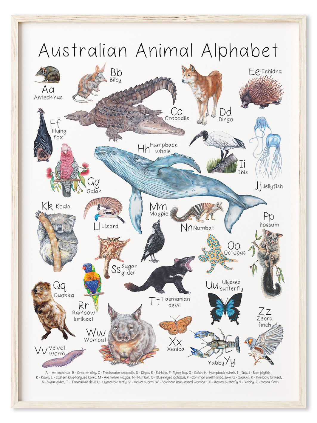 Australian Animal Alphabet