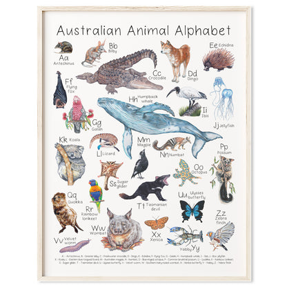 Australian Animal Alphabet