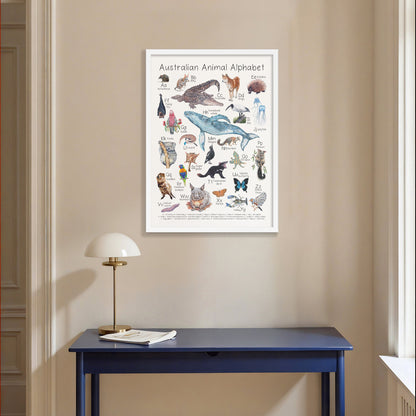 Australian Animal Alphabet