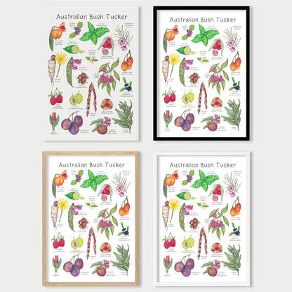 Australian Bush Tucker