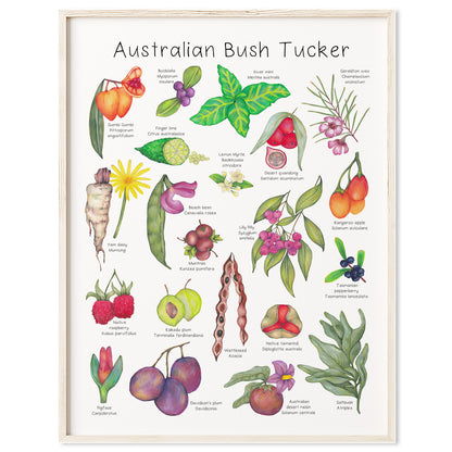 Australian Bush Tucker