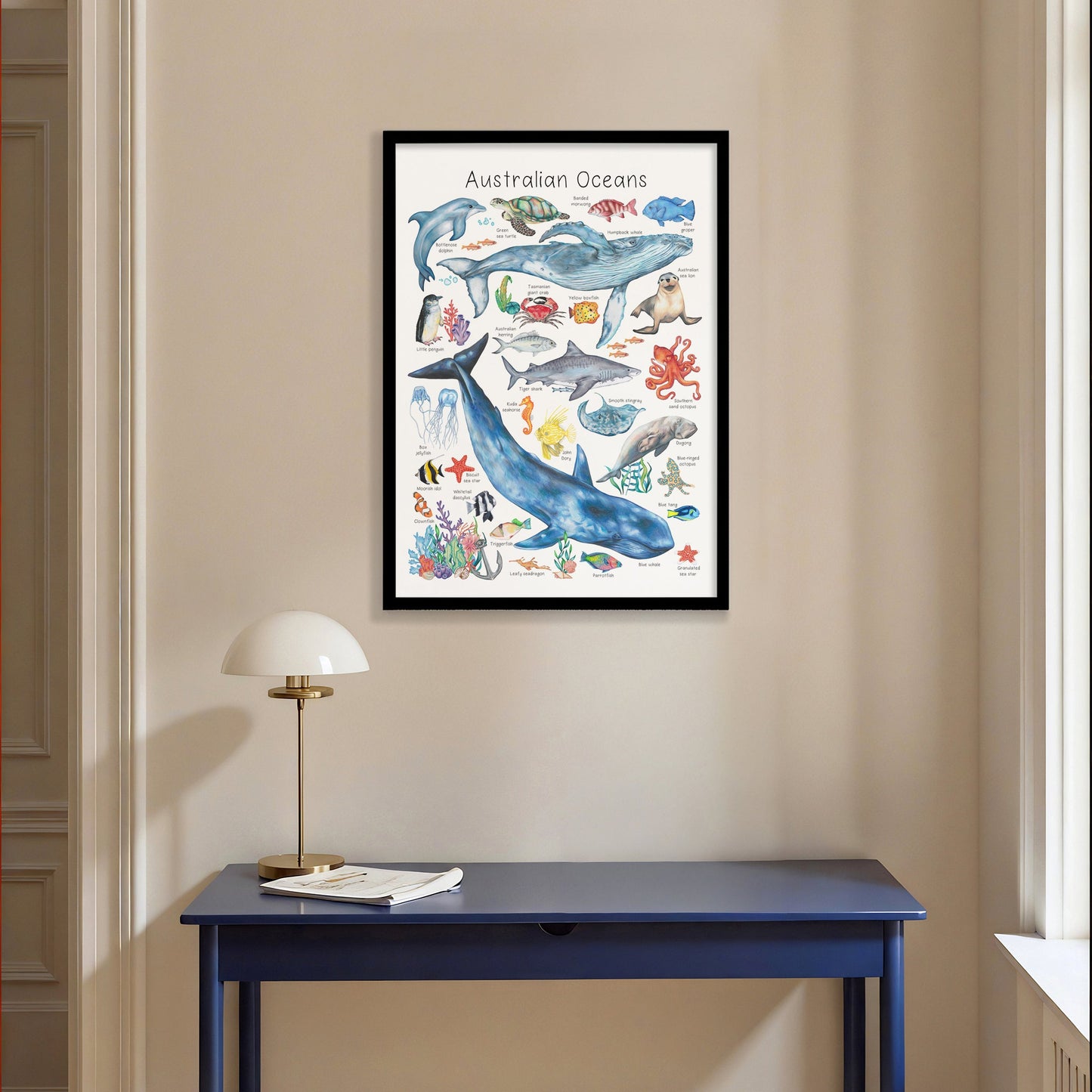 Australian Ocean Animals