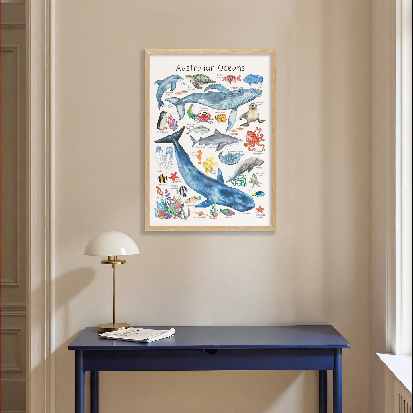 Australian Ocean Animals