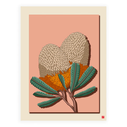 Banksia Flower