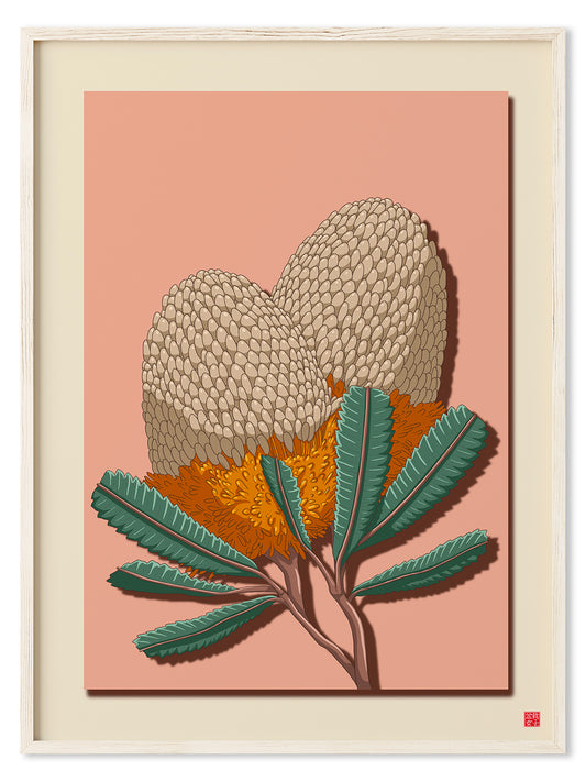 Banksia Flower