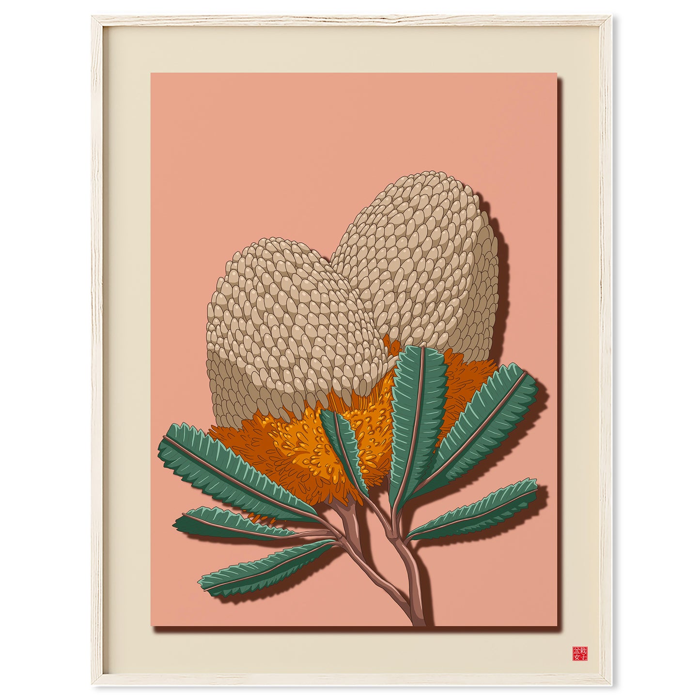 Banksia Flower