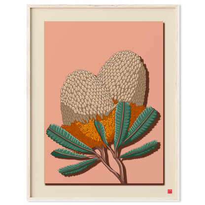 Banksia Flower