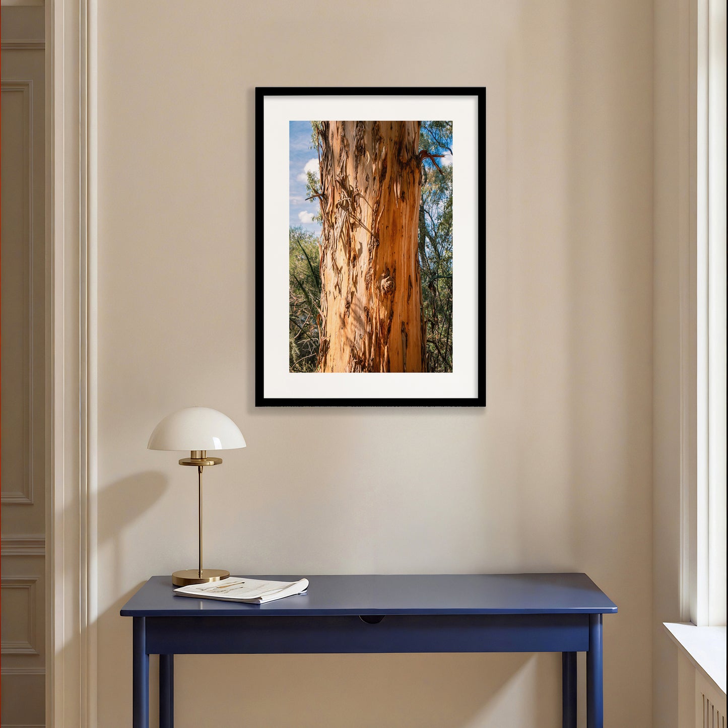 Eucalyptus Bark