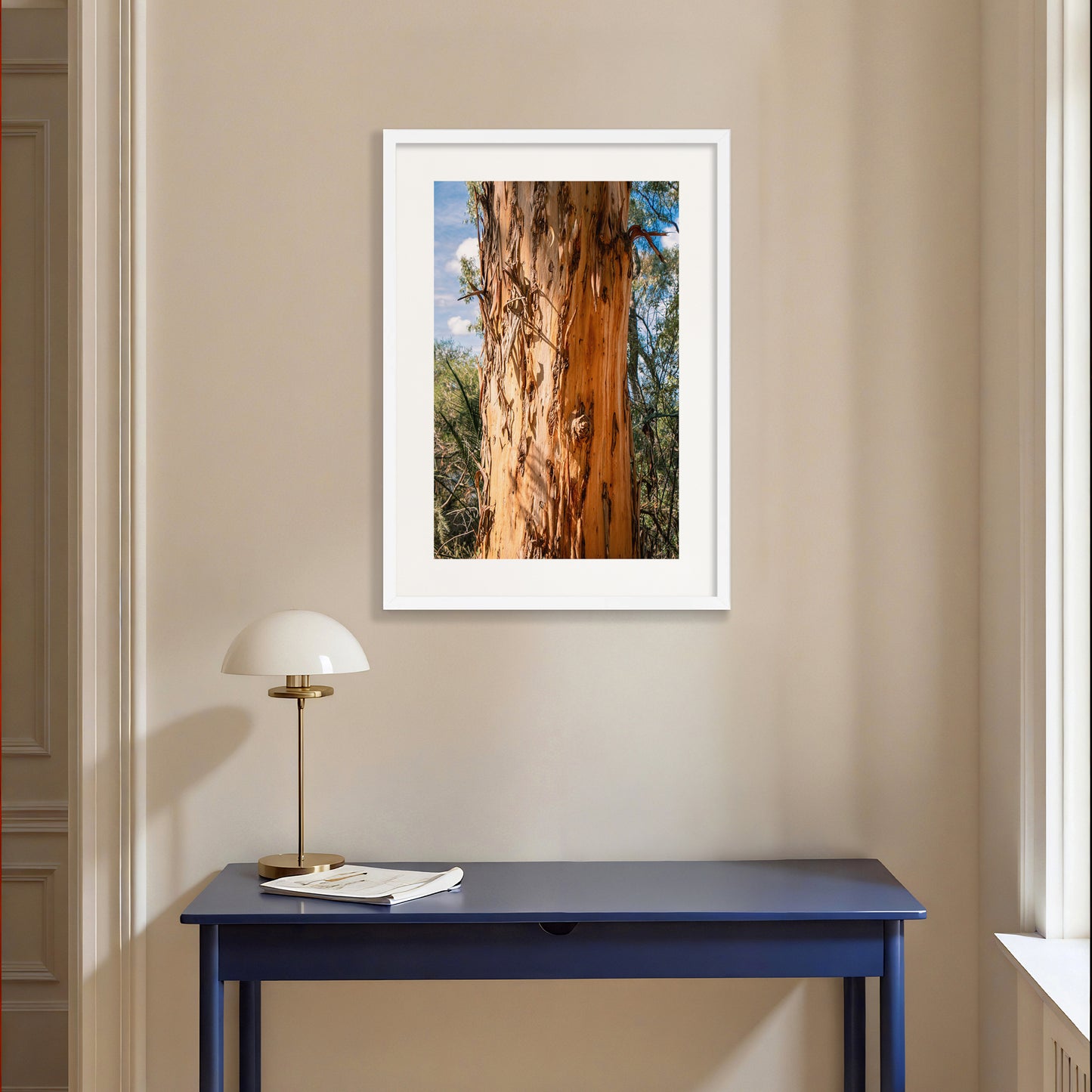 Eucalyptus Bark