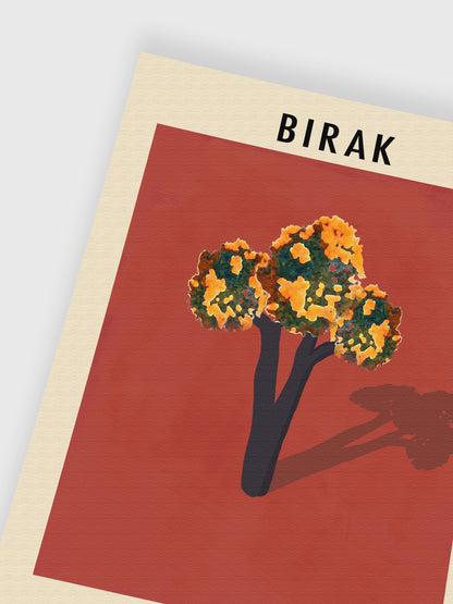 Birak