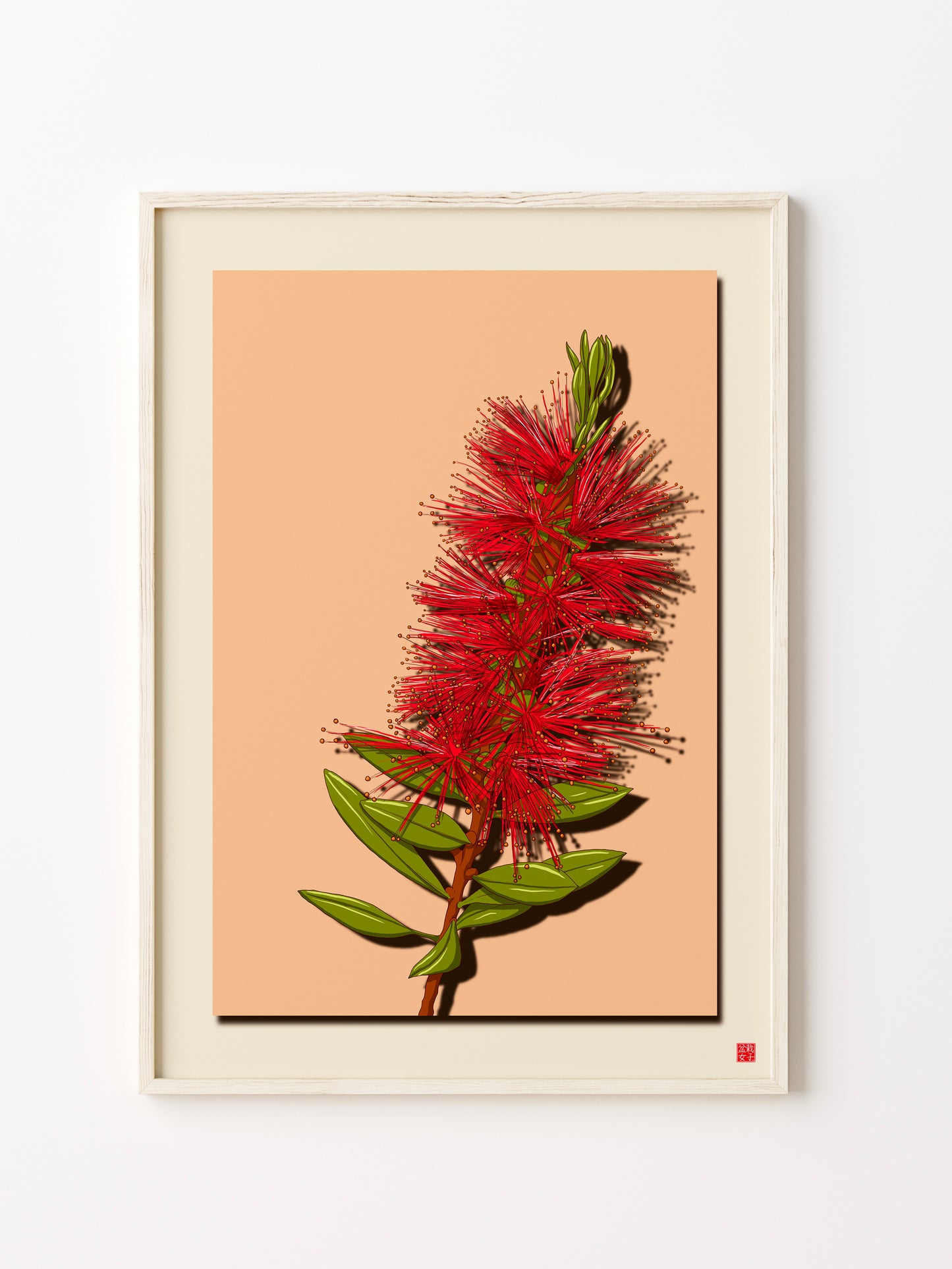 Bottlebrush