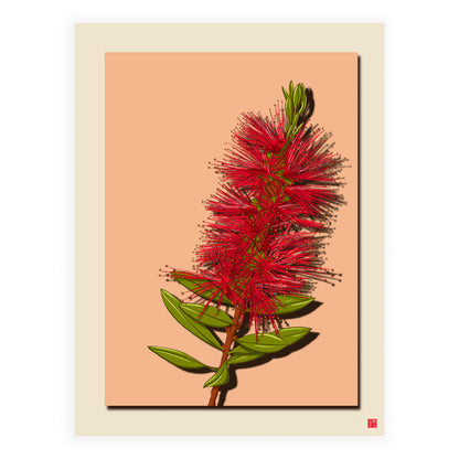 Bottlebrush