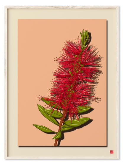 Bottlebrush