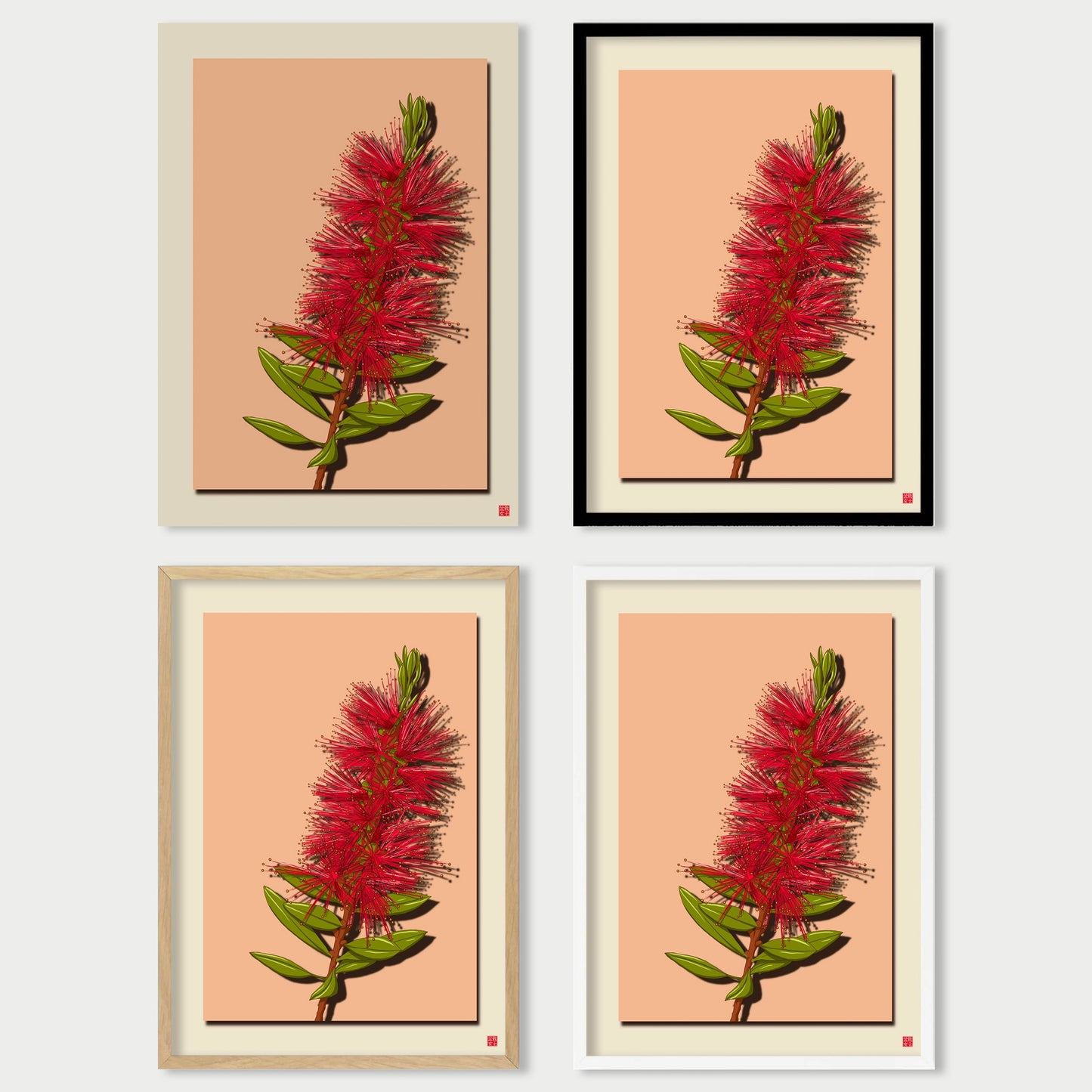 Bottlebrush
