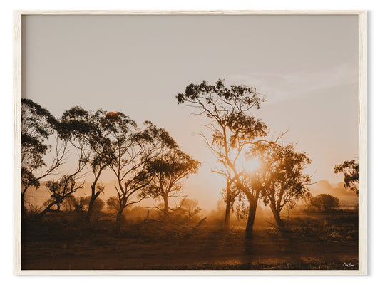 Light & Dust