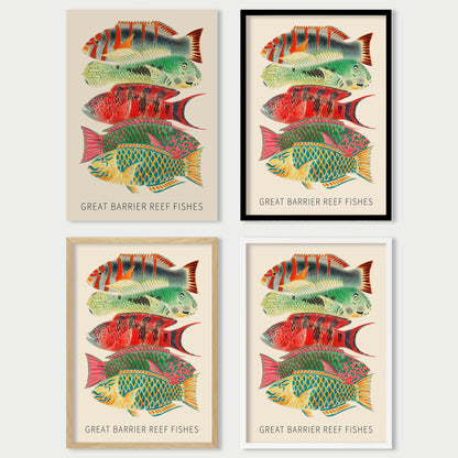 Fishes of the Great Barrier Reef