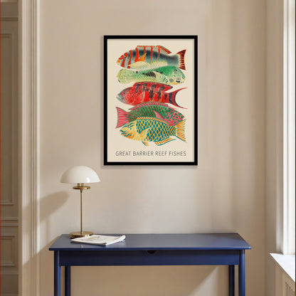 Fishes of the Great Barrier Reef