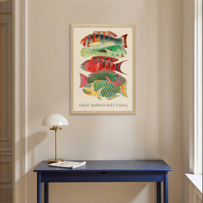 Fishes of the Great Barrier Reef