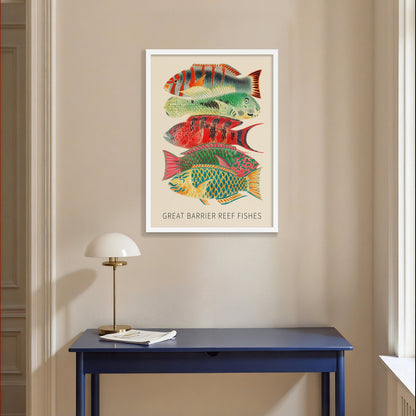 Fishes of the Great Barrier Reef