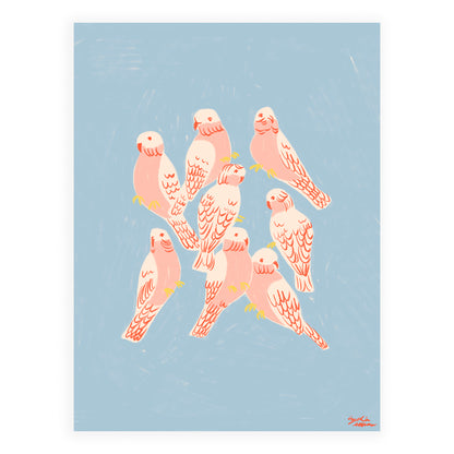 Flaming Galahs