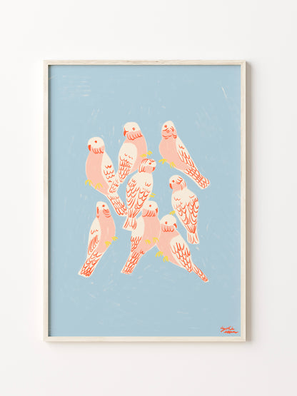 Flaming Galahs