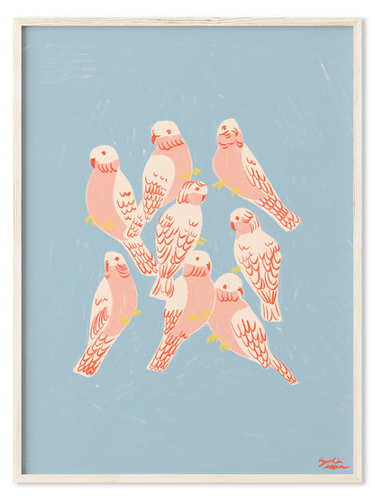 Flaming Galahs