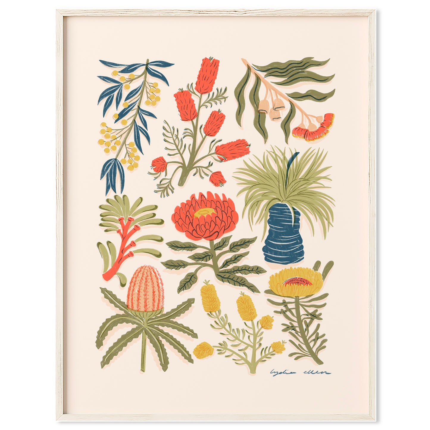 Australian Floral Bloom