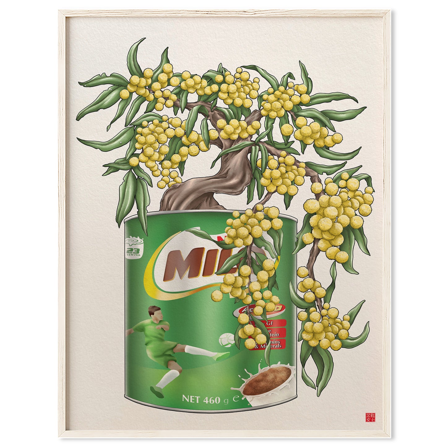 Golden Wattle Milo Tin