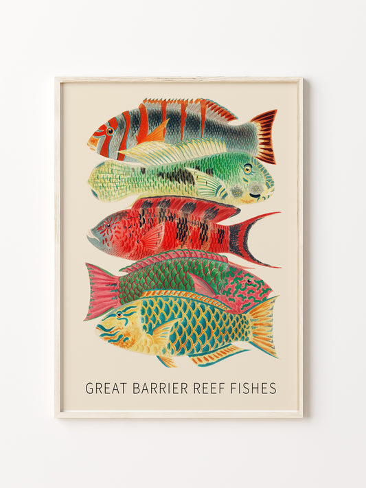 Fishes of the Great Barrier Reef