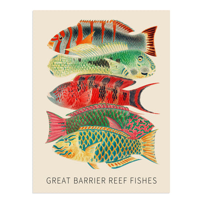 Fishes of the Great Barrier Reef