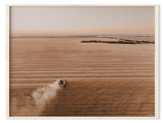 Harvest Evening