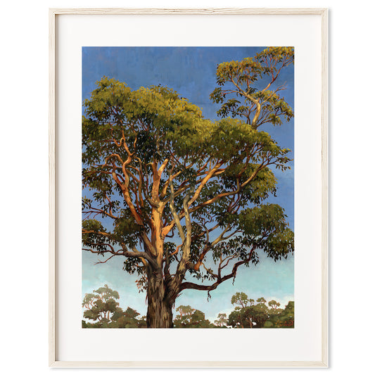 Hitting the High Note