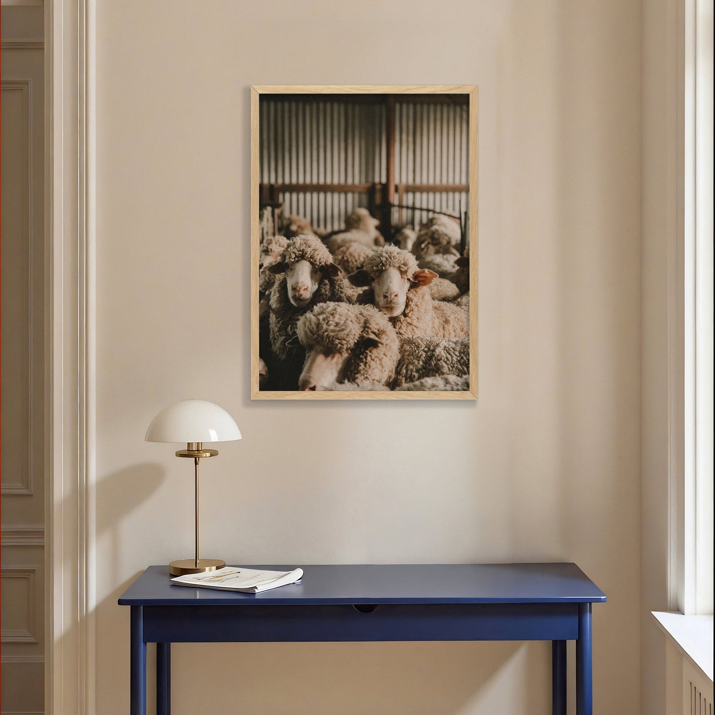 In The Shearing Shed