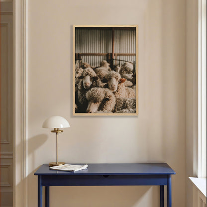 In The Shearing Shed