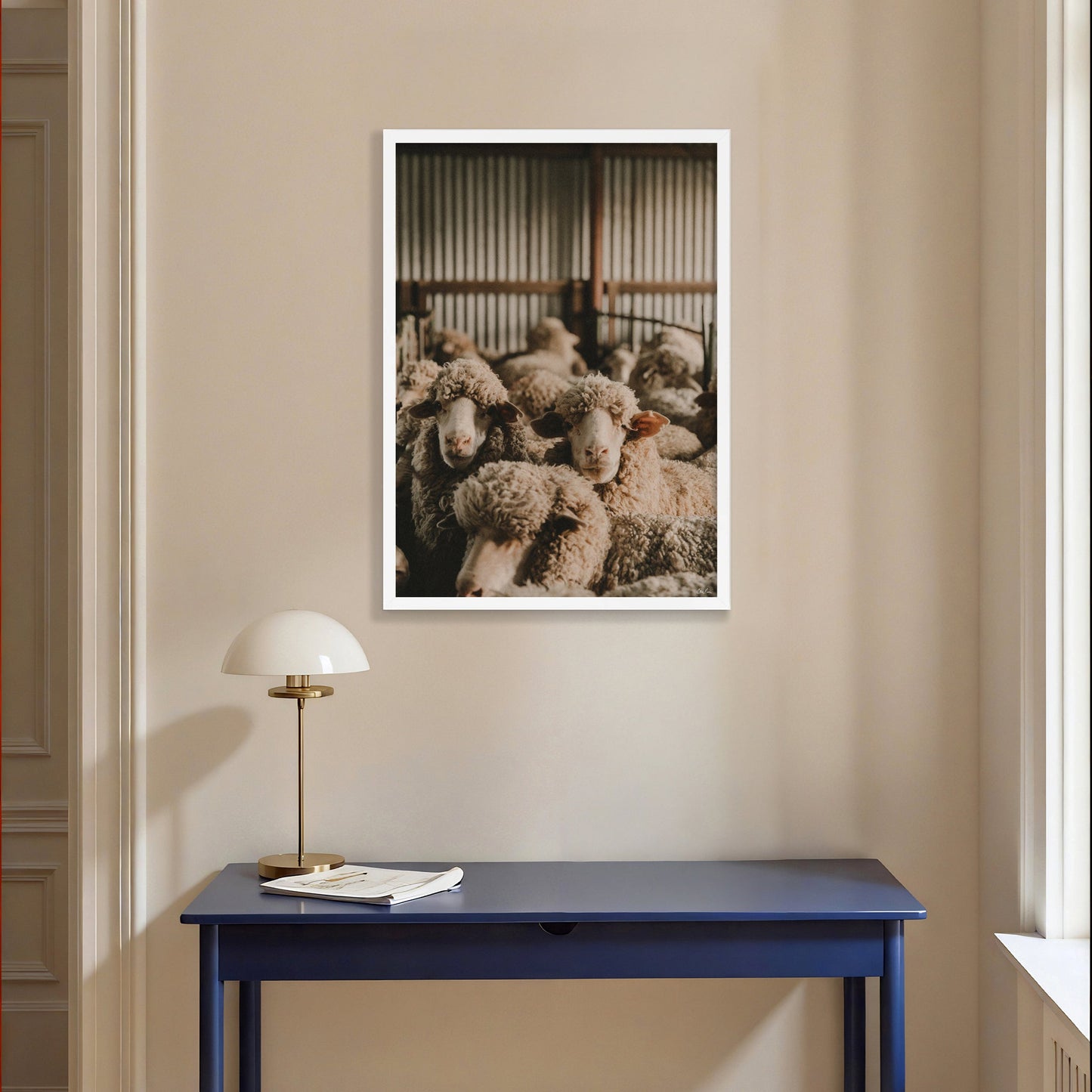 In The Shearing Shed