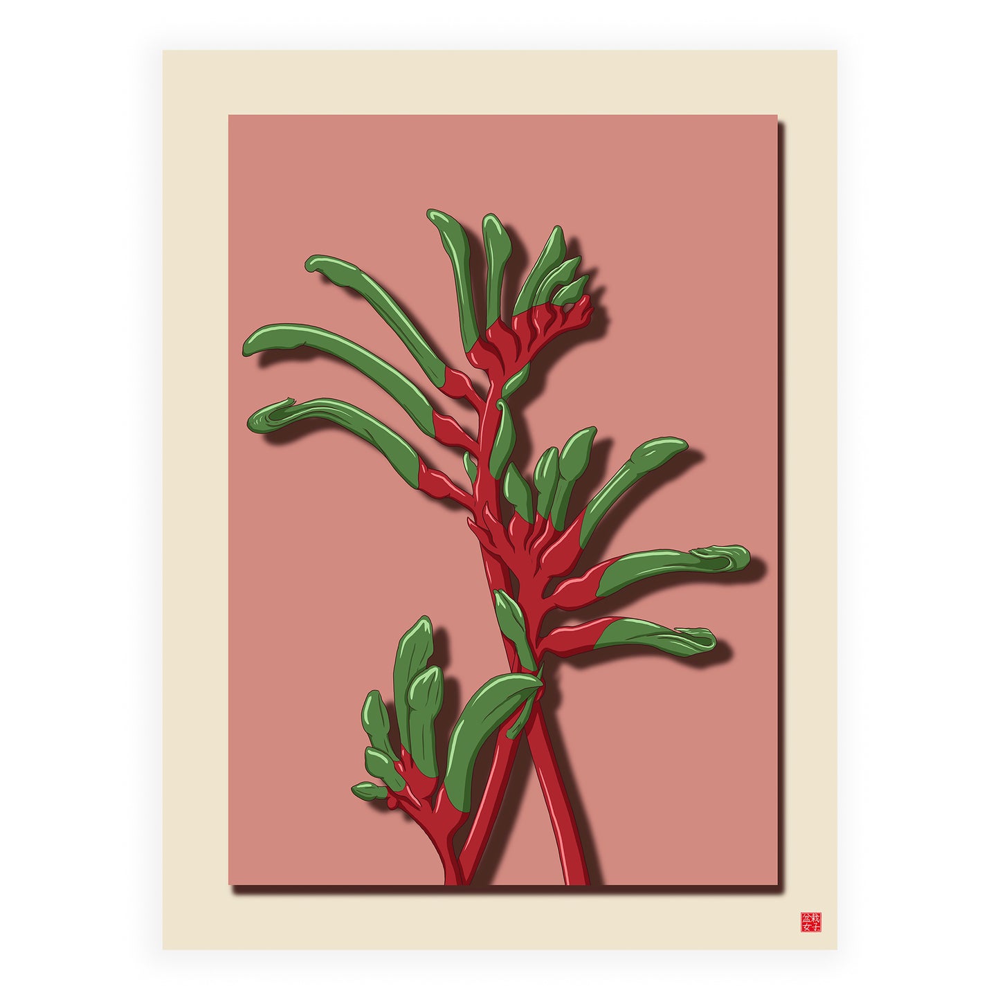 Kangaroo Paw Flower