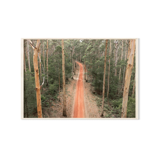 Karri Forest