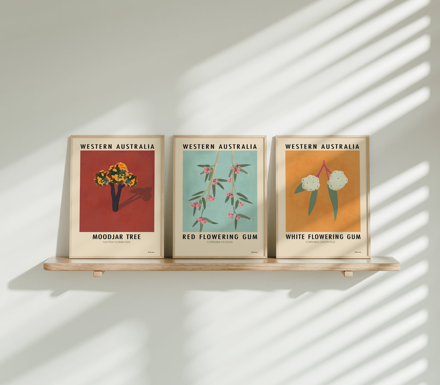 WA Florals - Set of 3