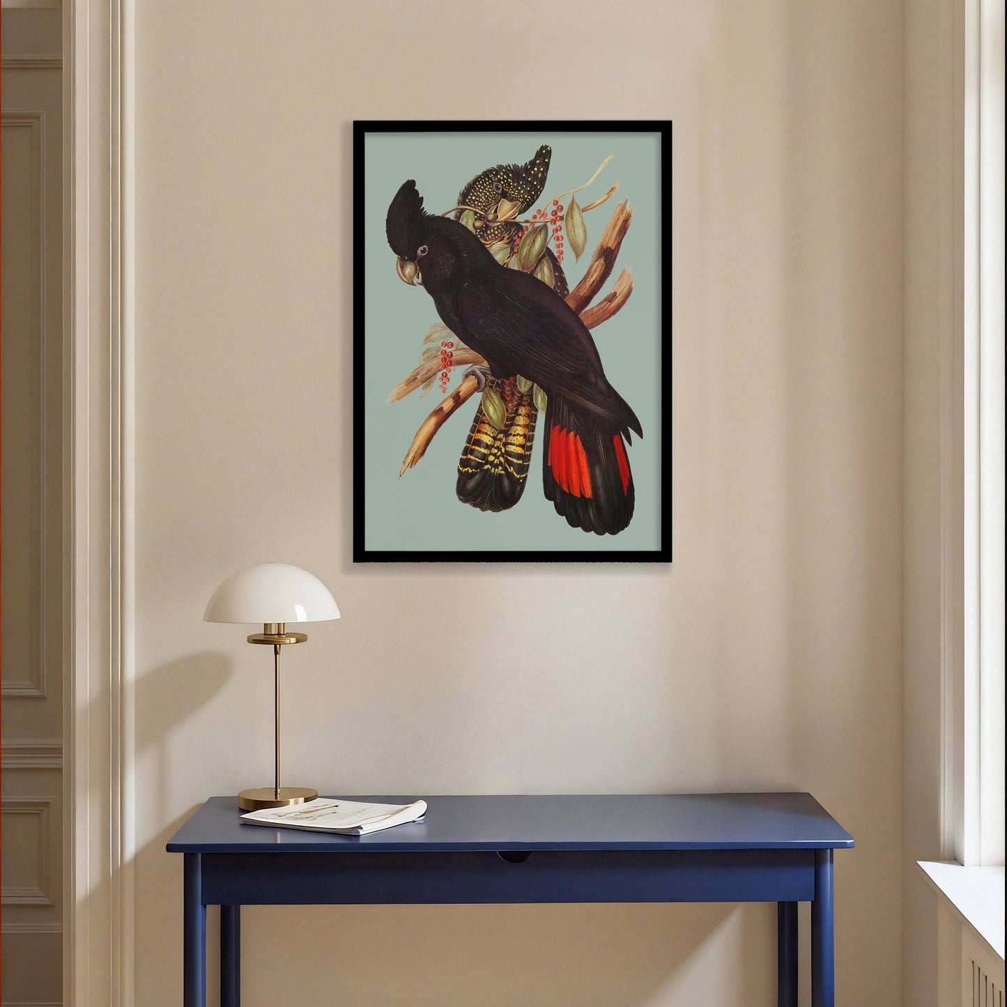 Red Tailed Black Cockatoo